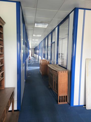 Local commercial de 800 m²