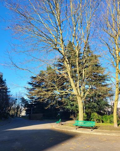 Appartement de 89m2 face au golf de Rosny-sous-Bois (93)