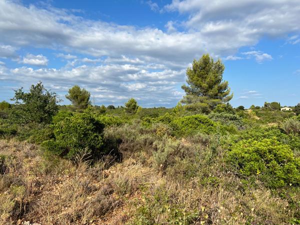 Terrain Juvignac 5029 m2