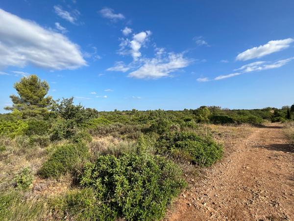 Terrain Juvignac 5029 m2