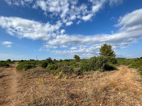 Terrain Juvignac 5029 m2