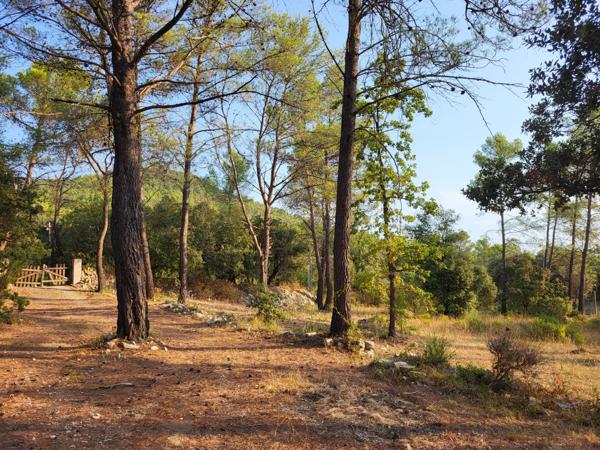 Carnoules (83660) CABANON T1 MEUBLE