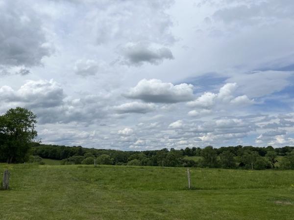 Maison à vendre |  Bussière-Poitevine |  5 pièces | 137 m²