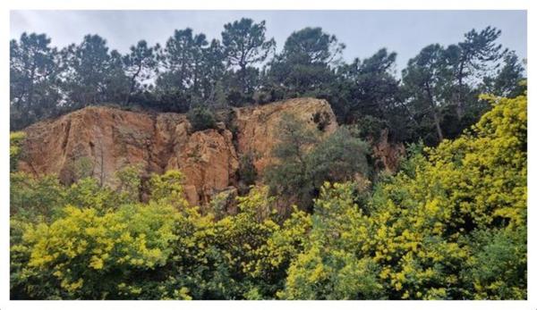 appartement à vendre 4 pièces THEOULE SUR MER (06) + jardin 175 m²