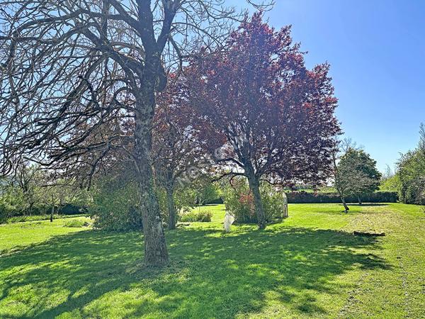Sur la commune de Mignaloux Beauvoir maison a vendre avec très grand terrain