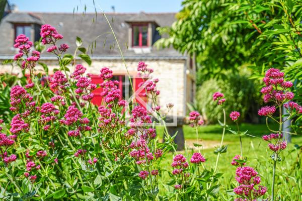 Belle maison de campagne au cadre bucolique