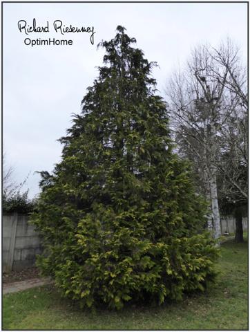 Terrain constructible 461m² Ollainville près Arpajon