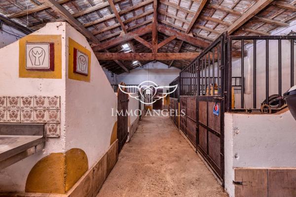 Unique – Gîtes, Espace & Équipements Équestres