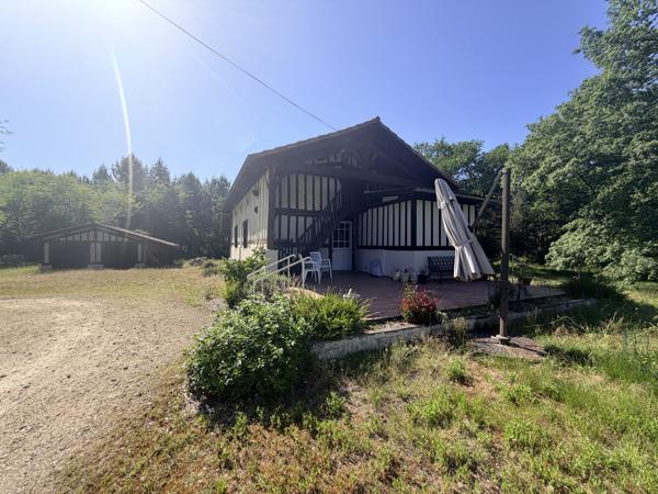 Authentique maison landaise sur plus de 8 000 m² de terrain ! Détails des diagnostics énergétiques