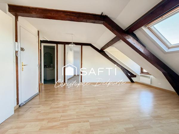 Face aux facs : T2 lumineux au calme