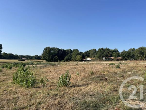Terrain à vendre  311 m 2   COEX  - 85