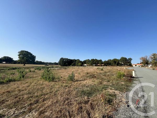 Terrain à vendre  311 m 2   COEX  - 85