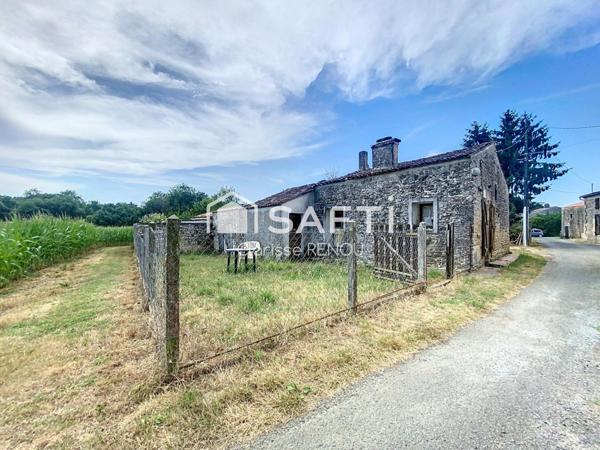 Projet à saisir : maison + maisonnette + chai + terrain