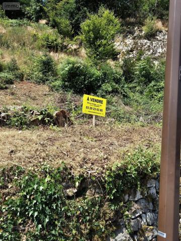 Terrain à Batir à vendre à Saint-Nabord dans les Vosges (88200), ref : 1202/0825-88038