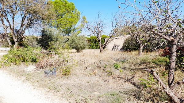 Cabrières-d'Avignon (84220) Terrain constructible