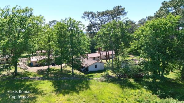 Domaine nature de 19 gîtes sur plus de 10 hectares – Un lieu rare à réinventer