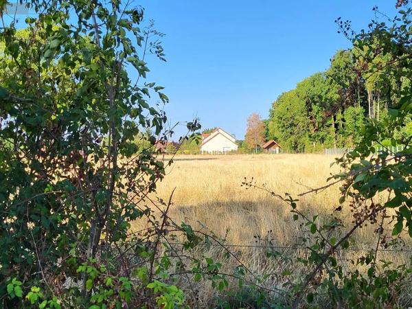 Achat - Terrain à bâtir Dun-le-Palestel 23800 2636 m 2
