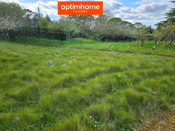 Terrain constructible