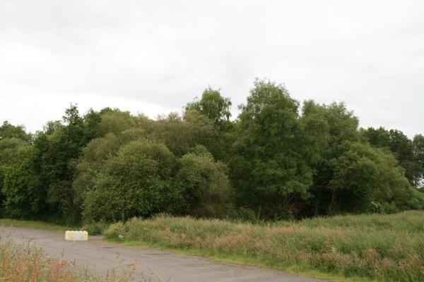 Vente Terrain 53650 m2 à Crédin