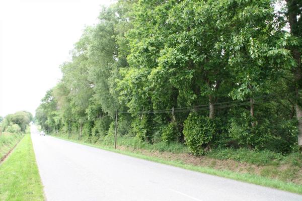 Vente Terrain 53650 m2 à Crédin