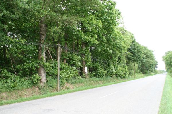 Vente Terrain 53650 m2 à Crédin