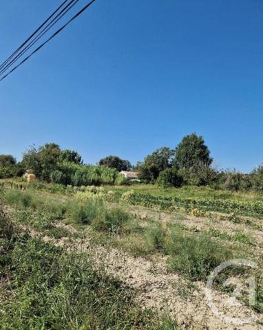 Terrain à vendre  1160 m2 LAUTREC - 81