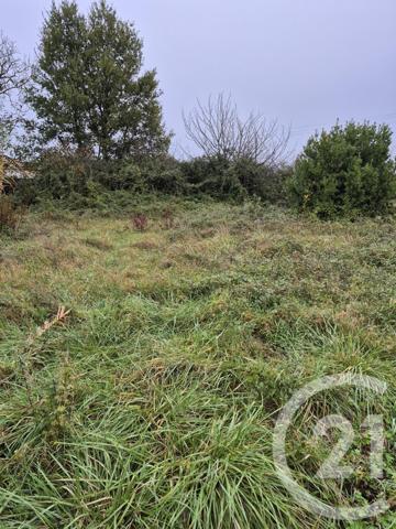 Terrain à vendre  1160 m2 LAUTREC - 81