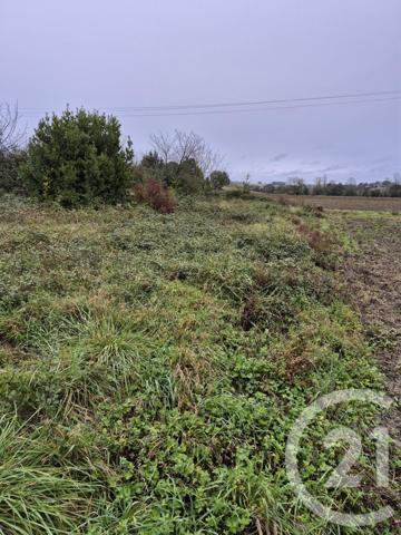 Terrain à vendre  1160 m2 LAUTREC - 81
