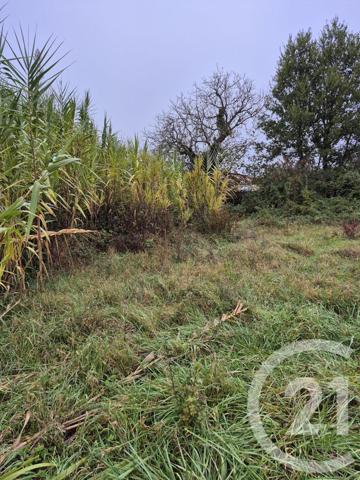 Terrain à vendre  1160 m2 LAUTREC - 81