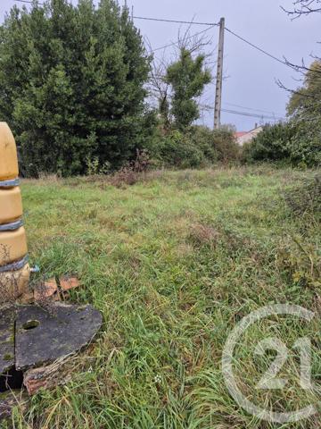 Terrain à vendre  1160 m2 LAUTREC - 81