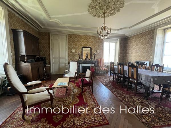MAISON D'HOTE A VENDRE A RENAZE , Ombree d anjou MAISON D'HOTE A VENDRE A RENAZE , Ombree d anjou