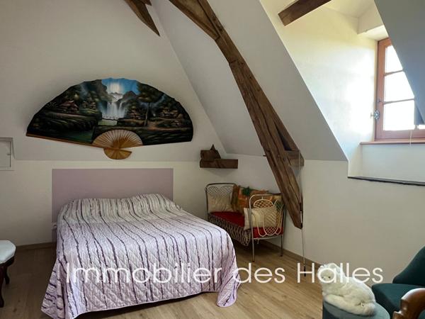 MAISON D'HOTE A VENDRE A RENAZE , Ombree d anjou MAISON D'HOTE A VENDRE A RENAZE , Ombree d anjou