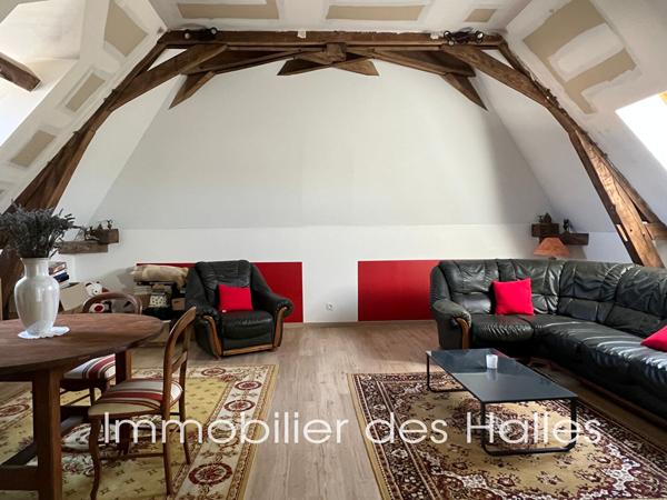 MAISON D'HOTE A VENDRE A RENAZE , Ombree d anjou MAISON D'HOTE A VENDRE A RENAZE , Ombree d anjou