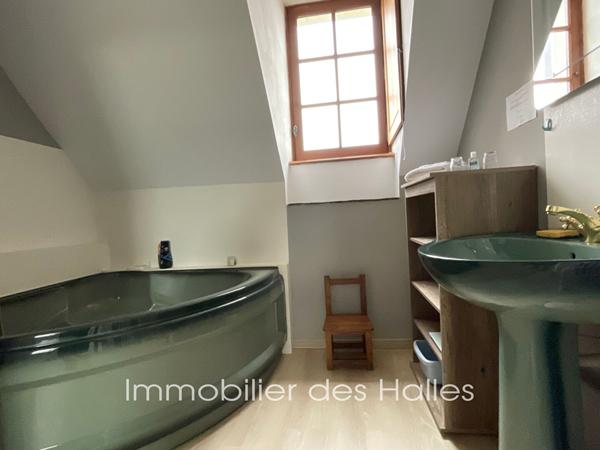 MAISON D'HOTE A VENDRE A RENAZE , Ombree d anjou MAISON D'HOTE A VENDRE A RENAZE , Ombree d anjou