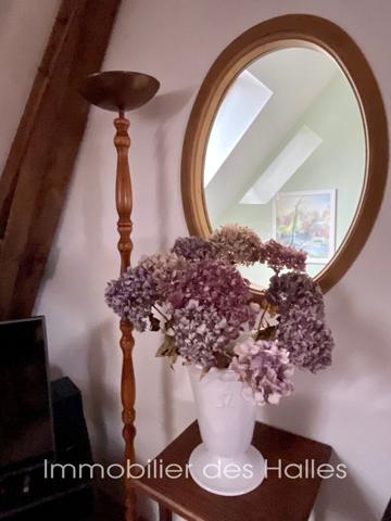 MAISON D'HOTE A VENDRE A RENAZE , Ombree d anjou MAISON D'HOTE A VENDRE A RENAZE , Ombree d anjou