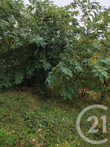Terrain à vendre  719 m2 BURLATS - 81