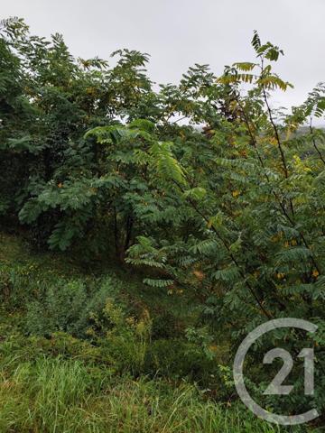 Terrain à vendre  719 m2 BURLATS - 81