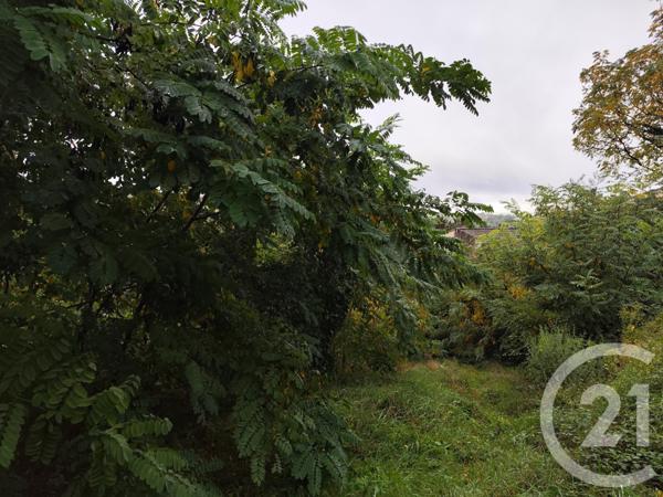 Terrain à vendre  719 m2 BURLATS - 81