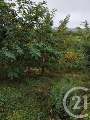 Terrain à vendre  719 m2 BURLATS - 81