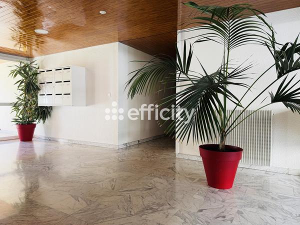 Appartement
         1 pièce
        - 30 m² Exclusivité