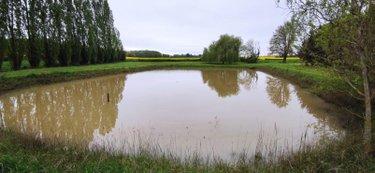 Terrain de loisirs - Bois - Etang à vendre à Genouilly dans le Cher (18310), ref : 142495G