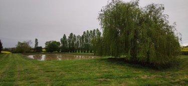 Terrain de loisirs - Bois - Etang à vendre à Genouilly dans le Cher (18310), ref : 142495G