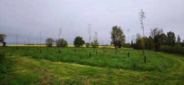 Terrain de loisirs - Bois - Etang à vendre à Genouilly dans le Cher (18310), ref : 142495G