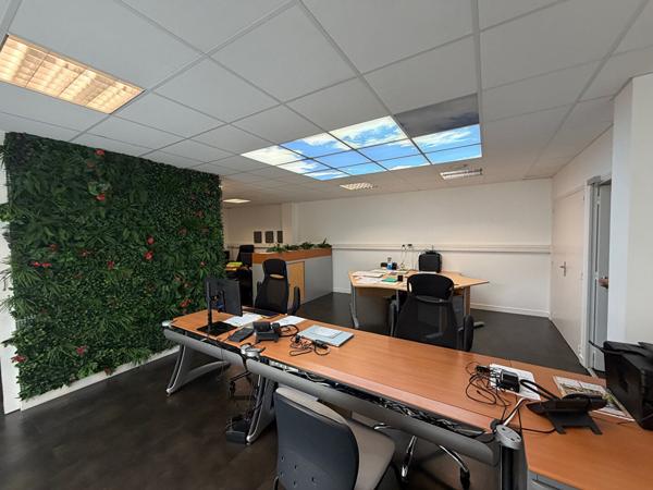 Spécial Investisseur Mayenne Immeuble loué de 460 m2 , Mayenne Spécial Investisseur Mayenne Immeuble loué de 460 m2 , Mayenne