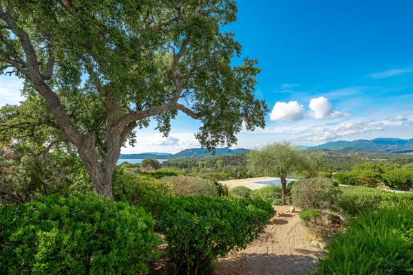Vente Villa de luxe Zonza 7 Pièces 300 m²