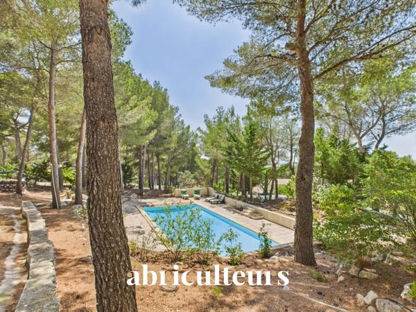 Maison d’architecte de 257 m² avec piscine et jardin arboré de 4 000 m²