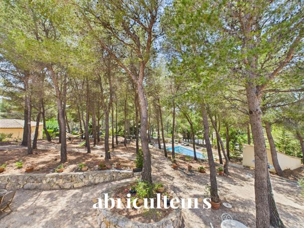 Maison d’architecte de 257 m² avec piscine et jardin arboré de 4 000 m²
