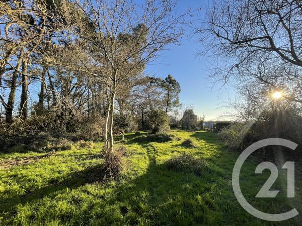 Maison à vendre  5 pièces - 114,64 m2 ARRADON - 56