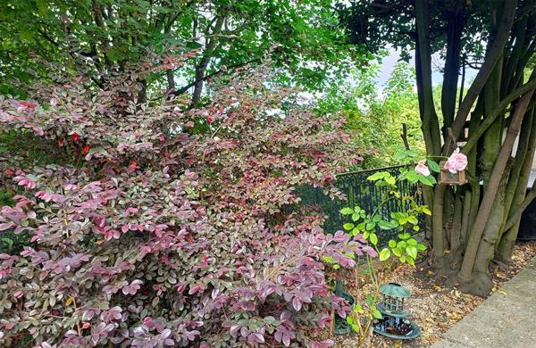 Demeure Familiale 12 pièces 300 m2 BRY SUR MARNE (94360)