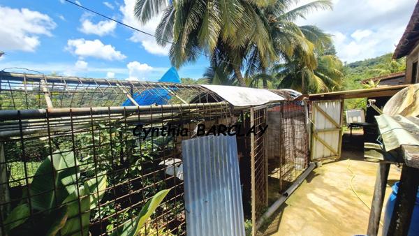 Villa à SAINT JOSEPH (97212)